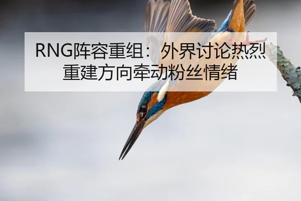 RNG阵容重组：外界讨论热烈 重建方向牵动粉丝情绪